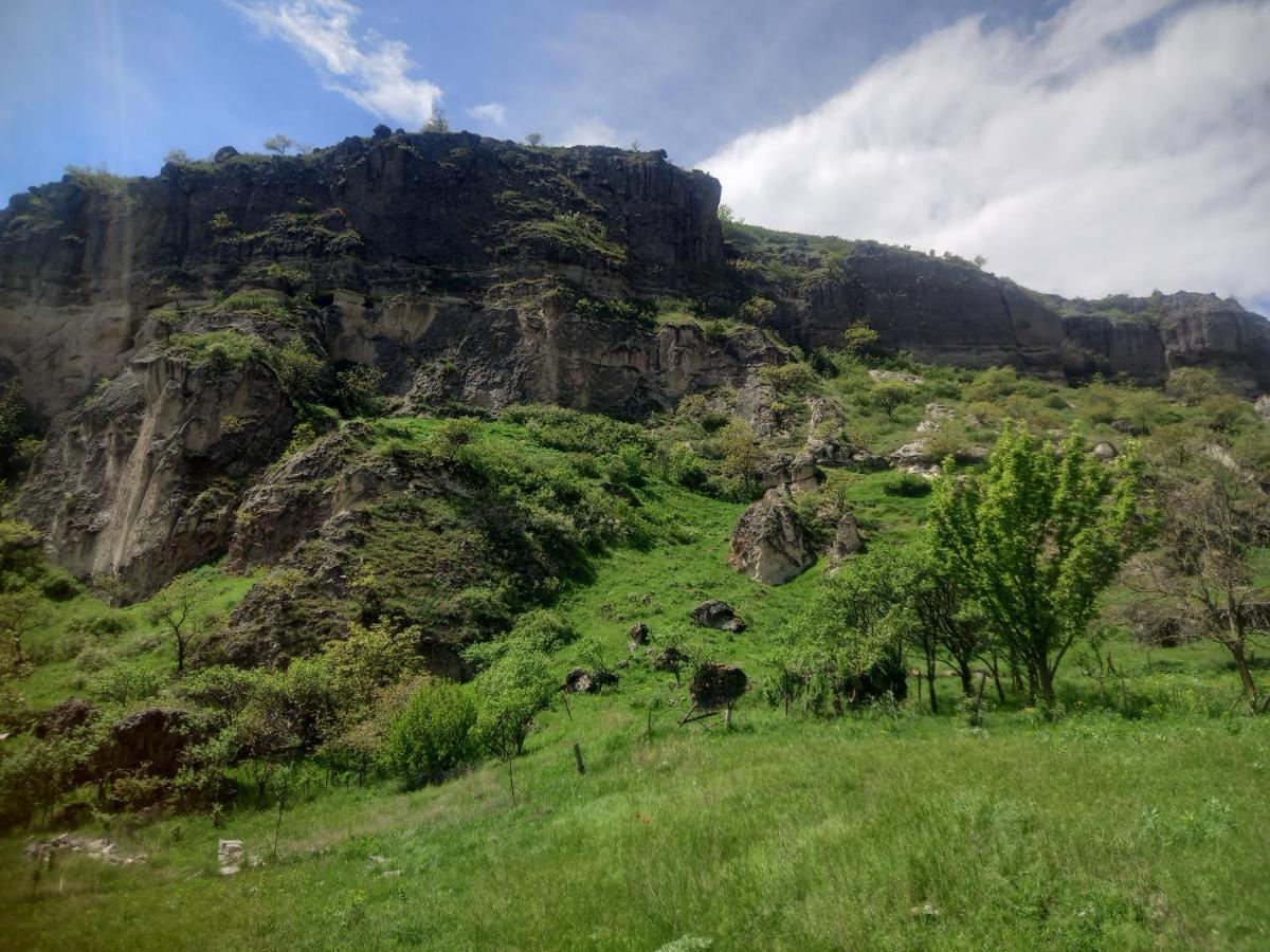 Bed and Breakfast Сhachkari Вардзиа Экстерьер фото