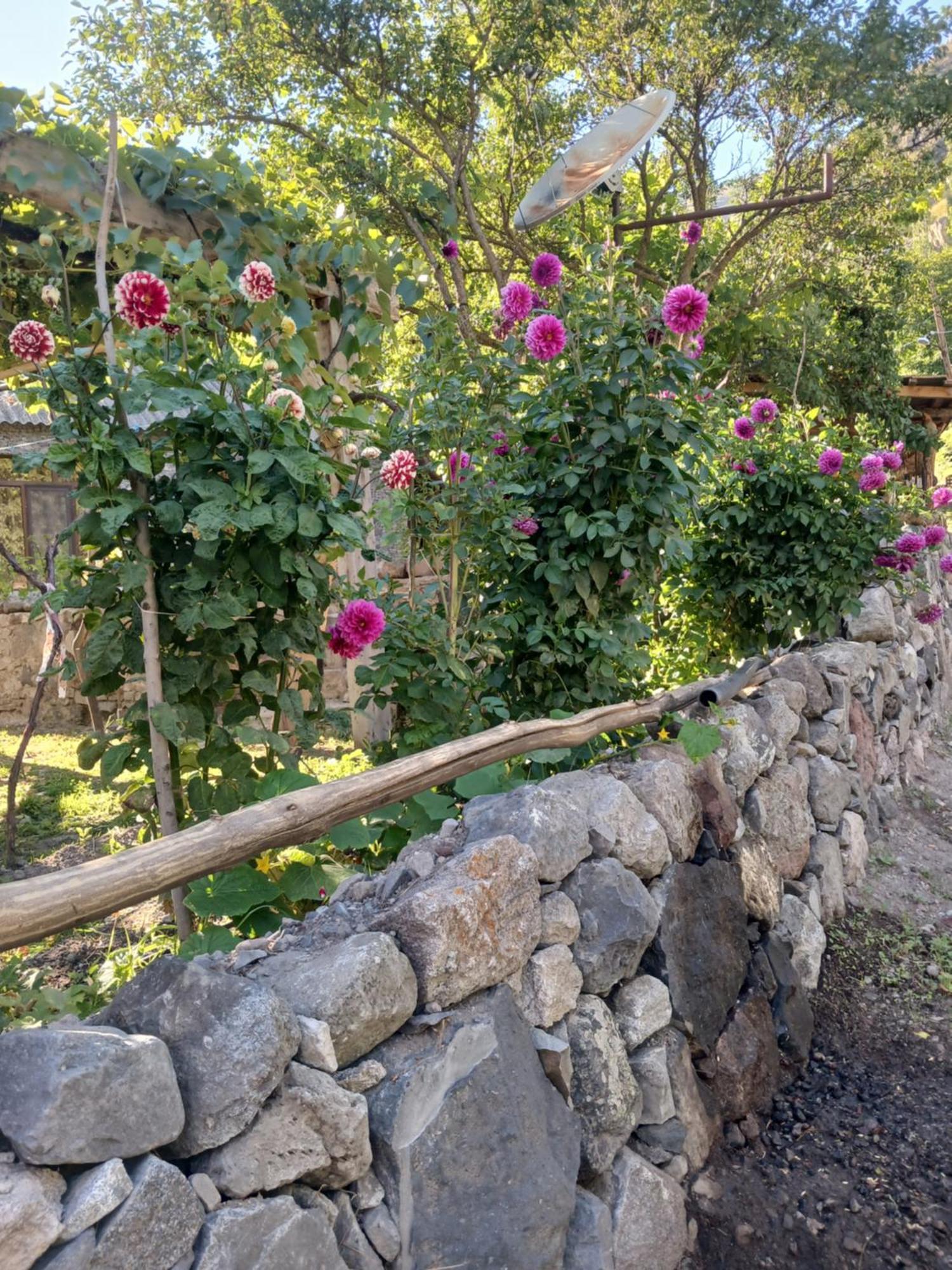 Bed and Breakfast Сhachkari Вардзиа Экстерьер фото