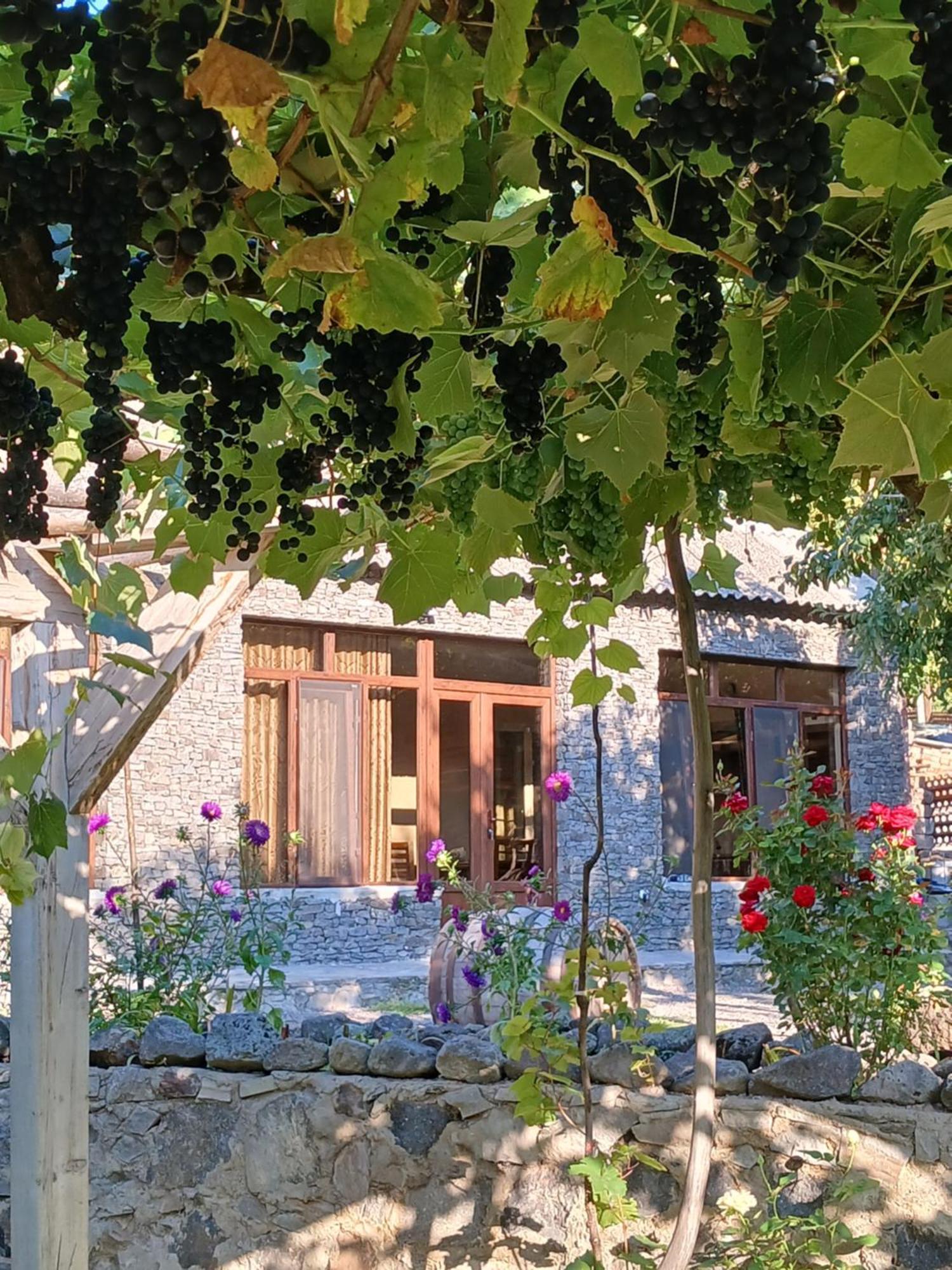 Bed and Breakfast Сhachkari Вардзиа Экстерьер фото